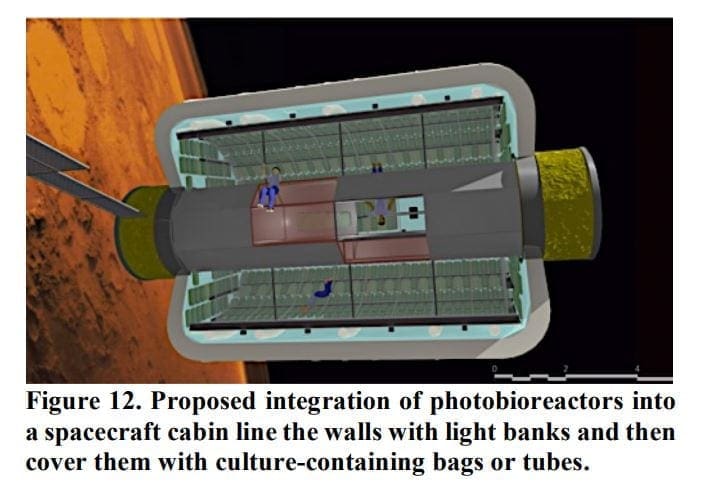 NASA Photobioreactor System in Spacecraft